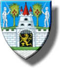 județul Satu-Mare