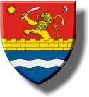 județul Timiș